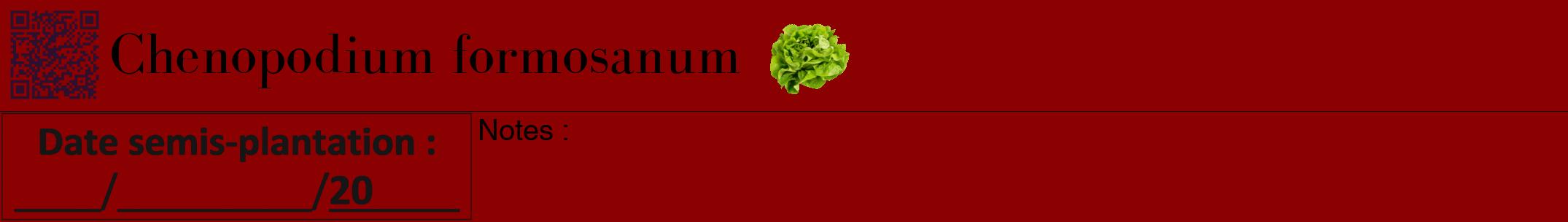 Étiquette de : Chenopodium formosanum - format a - style noire34bod avec qrcode et comestibilité simplifiée
