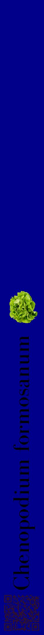 Étiquette de : Chenopodium formosanum - format a - style noire7bod avec qrcode et comestibilité simplifiée