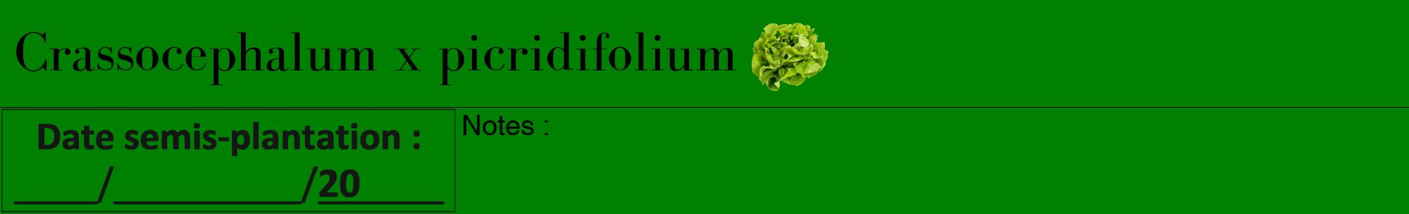 Étiquette de : Crassocephalum x picridifolium - format a - style noire9bod avec comestibilité simplifiée