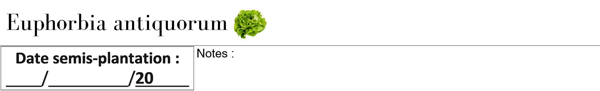 Étiquette de : Euphorbia antiquorum - format a - style noire60bod avec comestibilité simplifiée