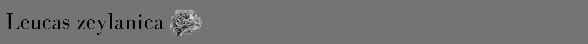 Étiquette de : Leucas zeylanica - format a - style noire26bod avec comestibilité simplifiée