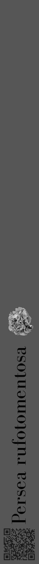 Étiquette de : Persea rufotomentosa - format a - style noire45bod avec qrcode et comestibilité simplifiée - position verticale