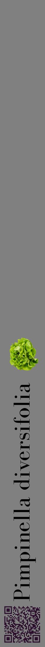 Étiquette de : Pimpinella diversifolia - format a - style noire57bod avec qrcode et comestibilité simplifiée