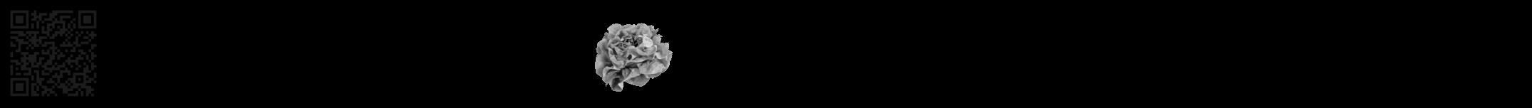 Étiquette de : Vachellia sieberiana - format a - style noire59bod avec qrcode et comestibilité simplifiée