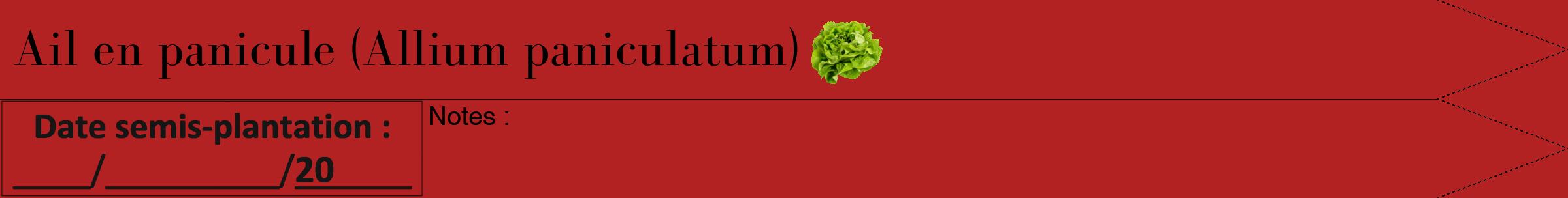 Étiquette de : Allium paniculatum - format b - style noire28bod avec comestibilité simplifiée