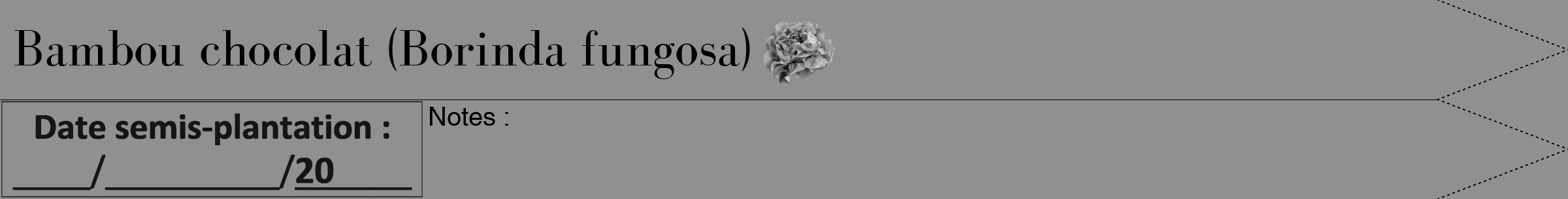 Étiquette de : Borinda fungosa - format b - style noire4bod avec comestibilité simplifiée