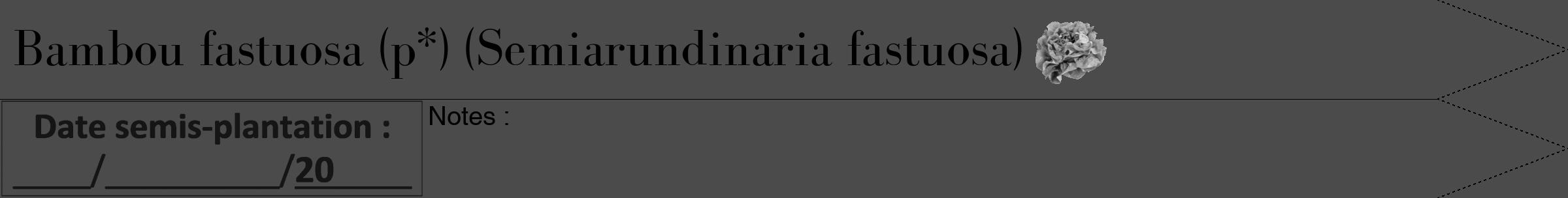 Étiquette de : Semiarundinaria fastuosa - format b - style noire9bod avec comestibilité simplifiée