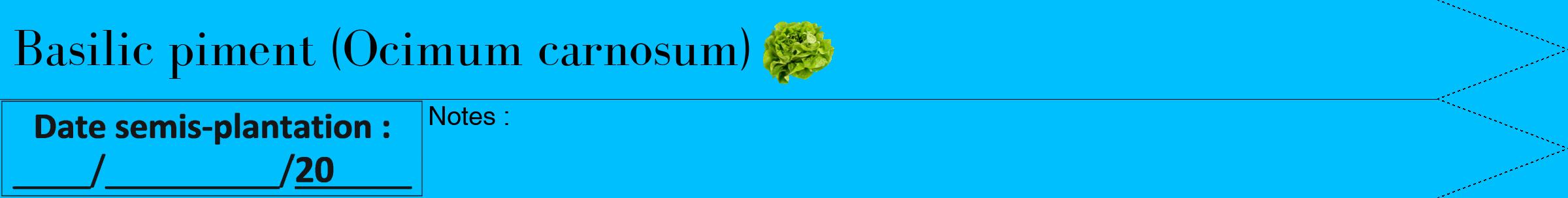 Étiquette de : Ocimum carnosum - format b - style noire2bod avec comestibilité simplifiée