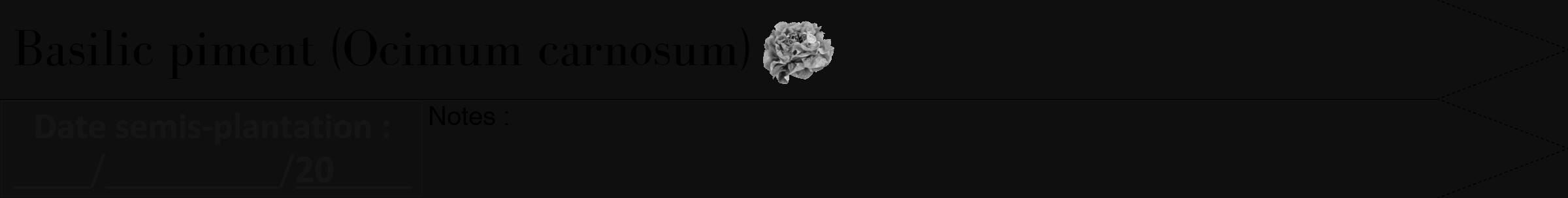 Étiquette de : Ocimum carnosum - format b - style noire7bod avec comestibilité simplifiée