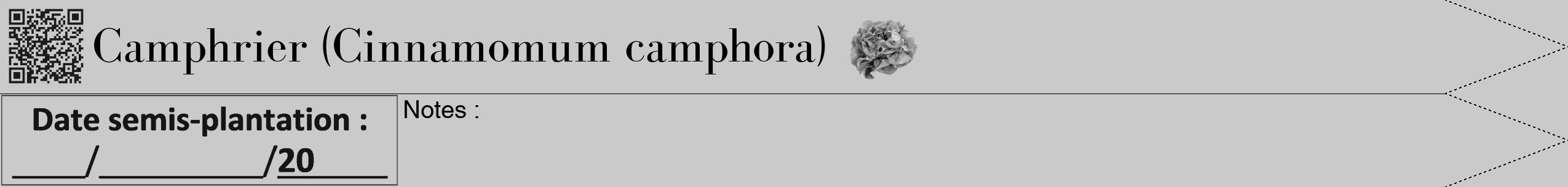 Étiquette de : Cinnamomum camphora - format b - style noire21simplebod avec qrcode et comestibilité simplifiée