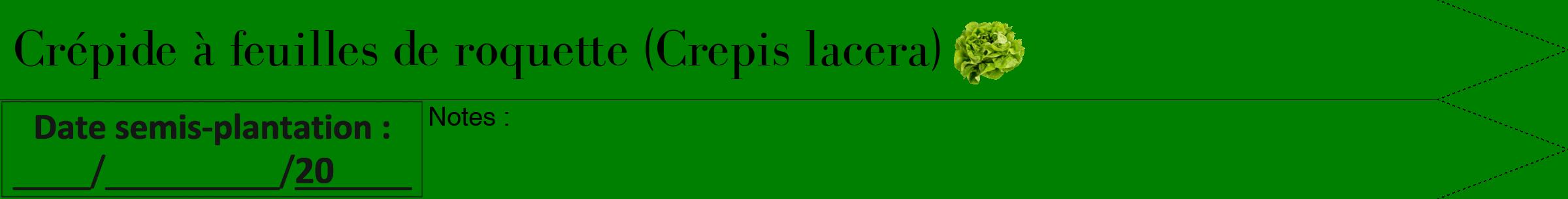 Étiquette de : Crepis lacera - format b - style noire9bod avec comestibilité simplifiée