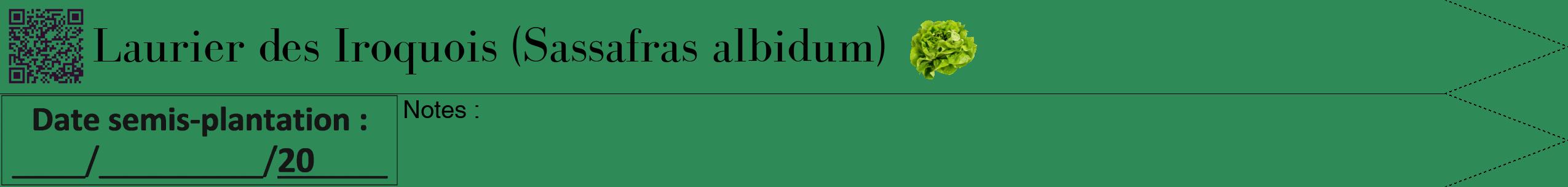 Étiquette de : Sassafras albidum - format b - style noire11bod avec qrcode et comestibilité simplifiée