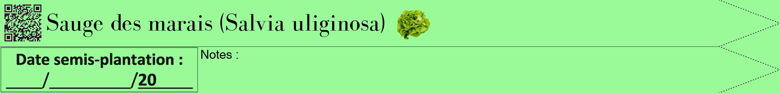 Étiquette de : Salvia uliginosa - format b - style noire14bod avec qrcode et comestibilité simplifiée