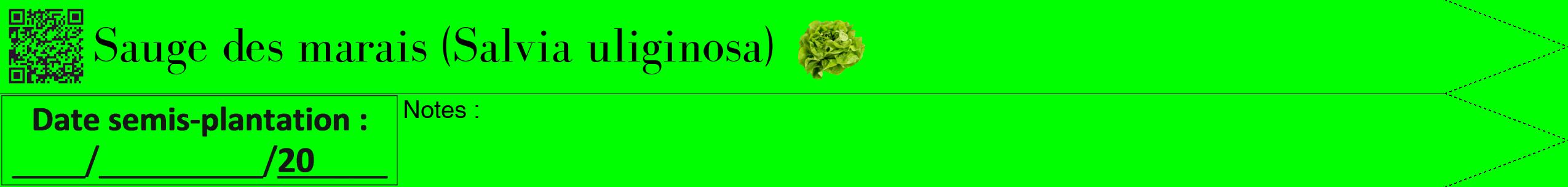 Étiquette de : Salvia uliginosa - format b - style noire16bod avec qrcode et comestibilité simplifiée