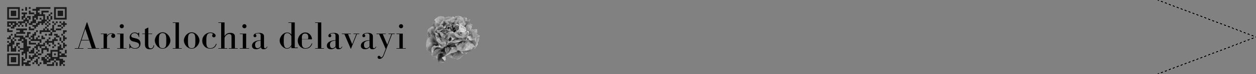 Étiquette de : Aristolochia delavayi - format b - style noire50simplebod avec qrcode et comestibilité simplifiée