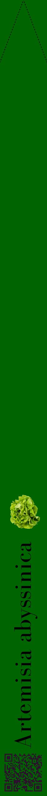 Étiquette de : Artemisia abyssinica - format b - style noire8bod avec qrcode et comestibilité simplifiée