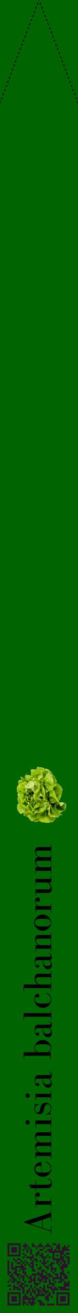 Étiquette de : Artemisia balchanorum - format b - style noire8bod avec qrcode et comestibilité simplifiée