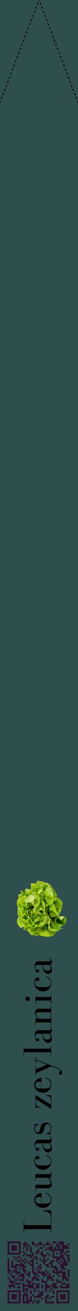 Étiquette de : Leucas zeylanica - format b - style noire58bod avec qrcode et comestibilité simplifiée