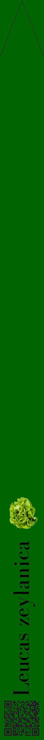 Étiquette de : Leucas zeylanica - format b - style noire8bod avec qrcode et comestibilité simplifiée