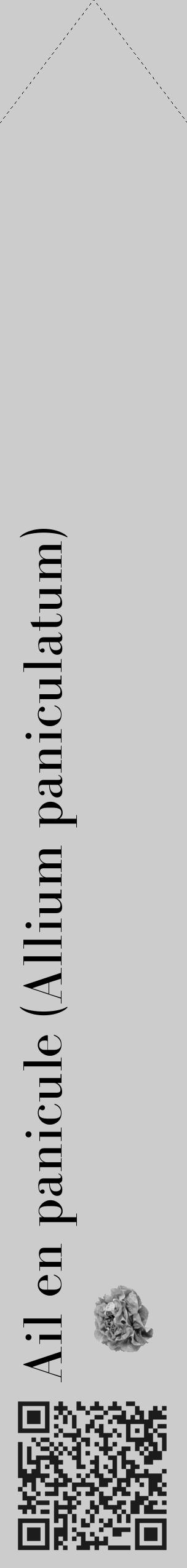 Étiquette de : Allium paniculatum - format c - style noire0_simple_simplebod avec qrcode et comestibilité simplifiée - position verticale