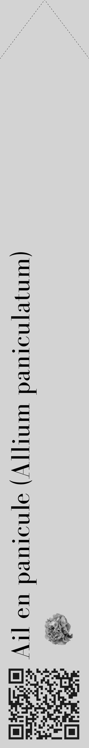 Étiquette de : Allium paniculatum - format c - style noire56_simple_simplebod avec qrcode et comestibilité simplifiée - position verticale