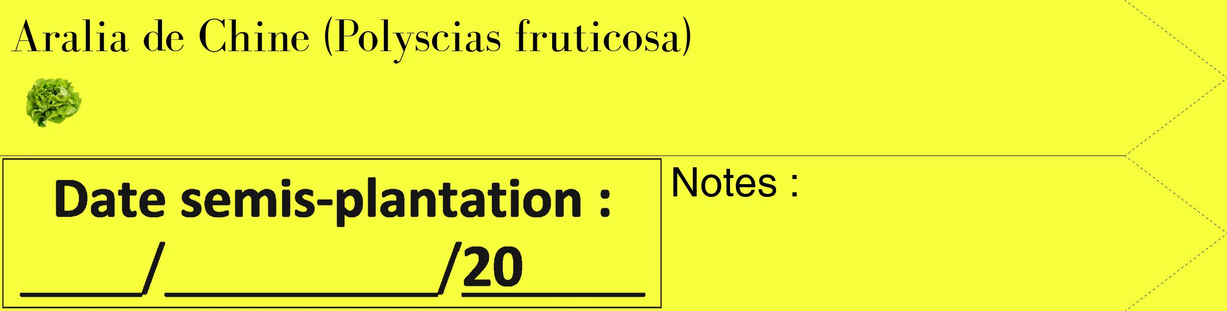 Étiquette de : Polyscias fruticosa - format c - style noire18_simple_simplebod avec comestibilité simplifiée