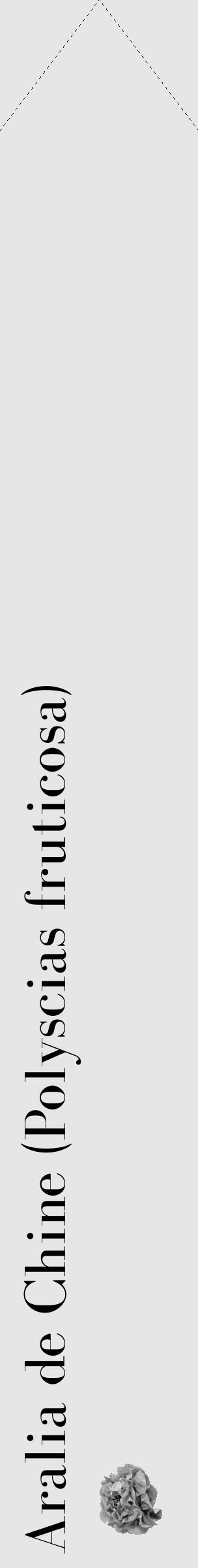 Étiquette de : Polyscias fruticosa - format c - style noire18_simple_simplebod avec comestibilité simplifiée - position verticale