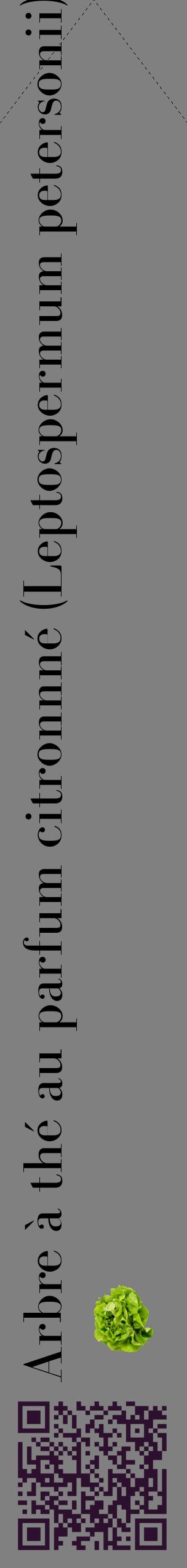 Étiquette de : Leptospermum petersonii - format c - style noire57_simplebod avec qrcode et comestibilité simplifiée