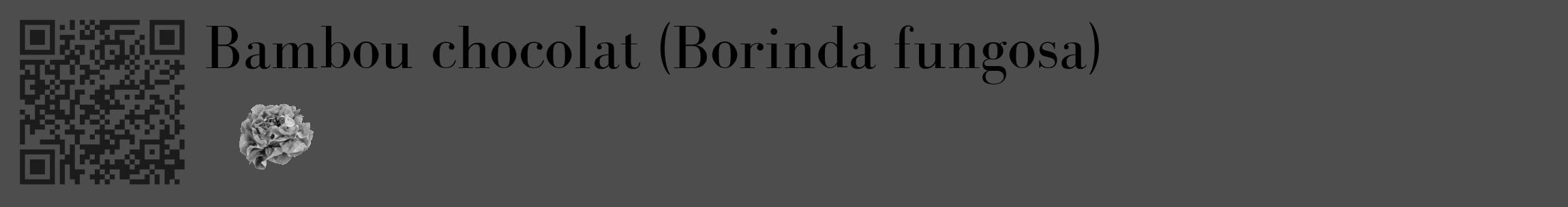 Étiquette de : Borinda fungosa - format c - style noire28_basique_basiquebod avec qrcode et comestibilité simplifiée