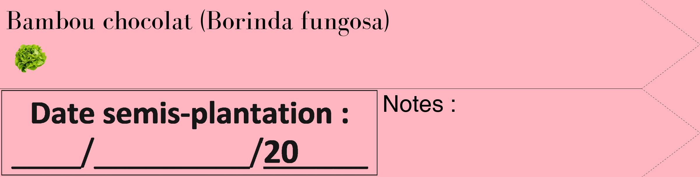 Étiquette de : Borinda fungosa - format c - style noire41_simple_simplebod avec comestibilité simplifiée