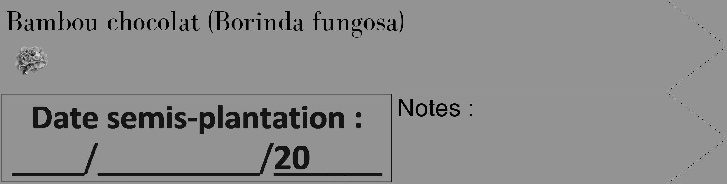 Étiquette de : Borinda fungosa - format c - style noire44_simple_simplebod avec comestibilité simplifiée