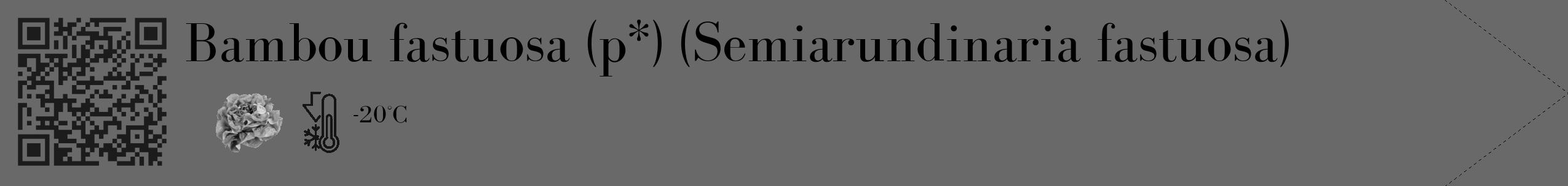 Étiquette de : Semiarundinaria fastuosa - format c - style noire11_simple_simplebod avec qrcode et comestibilité simplifiée