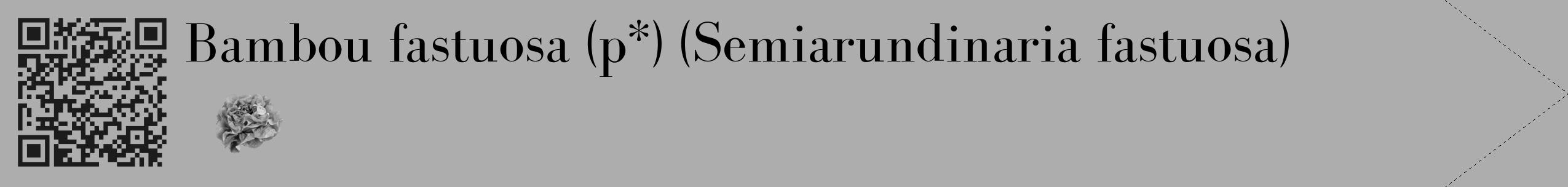 Étiquette de : Semiarundinaria fastuosa - format c - style noire22_simple_simplebod avec qrcode et comestibilité simplifiée