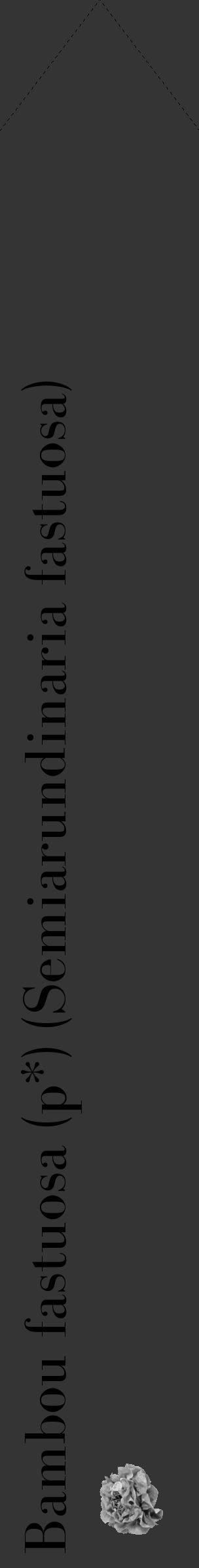 Étiquette de : Semiarundinaria fastuosa - format c - style noire46_simple_simplebod avec comestibilité simplifiée - position verticale