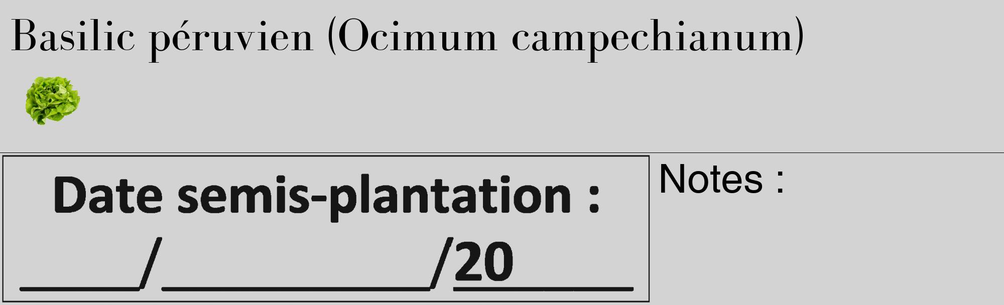 Étiquette de : Ocimum campechianum - format c - style noire56_basique_basiquebod avec comestibilité simplifiée