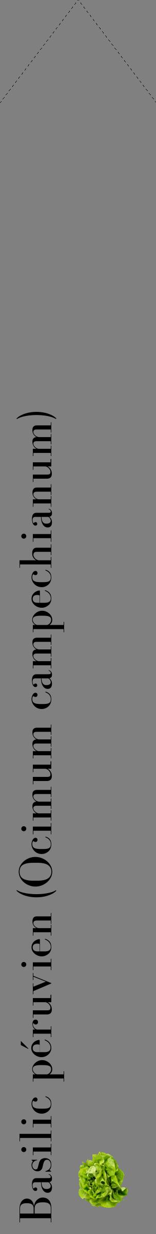 Étiquette de : Ocimum campechianum - format c - style noire57_simplebod avec comestibilité simplifiée