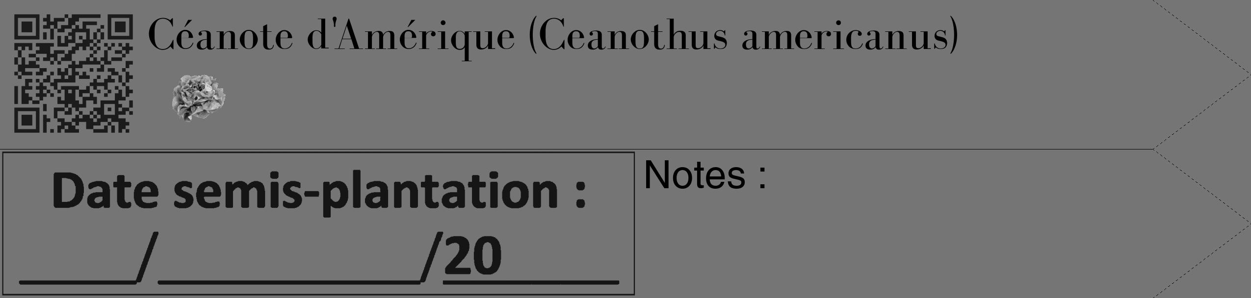 Étiquette de : Ceanothus americanus - format c - style noire5_simple_simplebod avec qrcode et comestibilité simplifiée