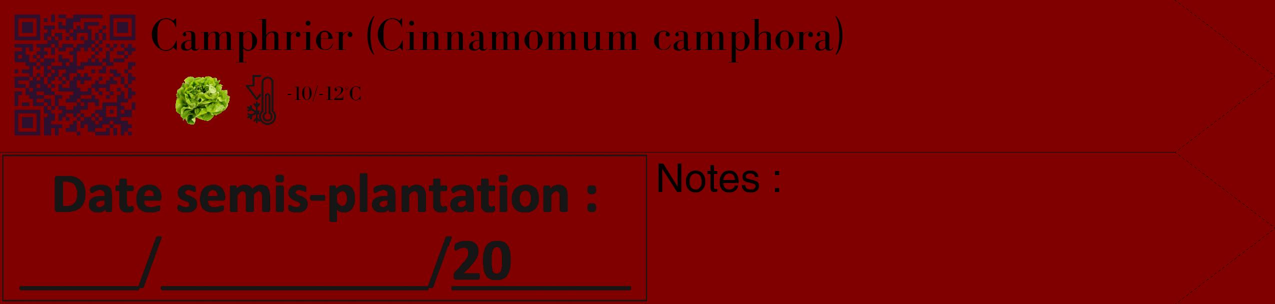Étiquette de : Cinnamomum camphora - format c - style noire29_simple_simplebod avec qrcode et comestibilité simplifiée