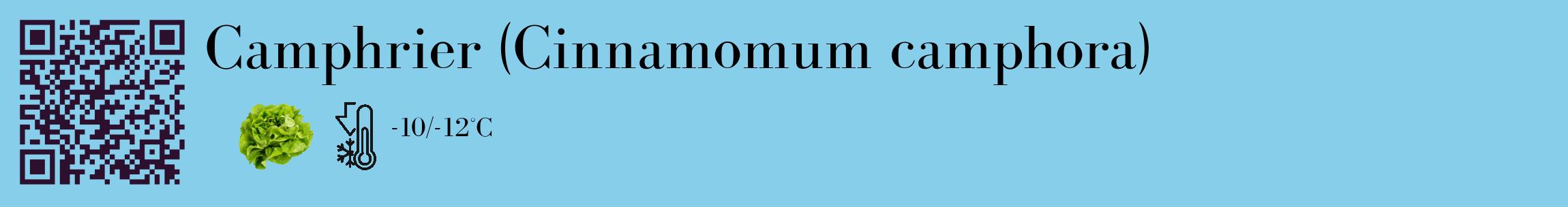 Étiquette de : Cinnamomum camphora - format c - style noire1_basique_basiquebod avec qrcode et comestibilité simplifiée
