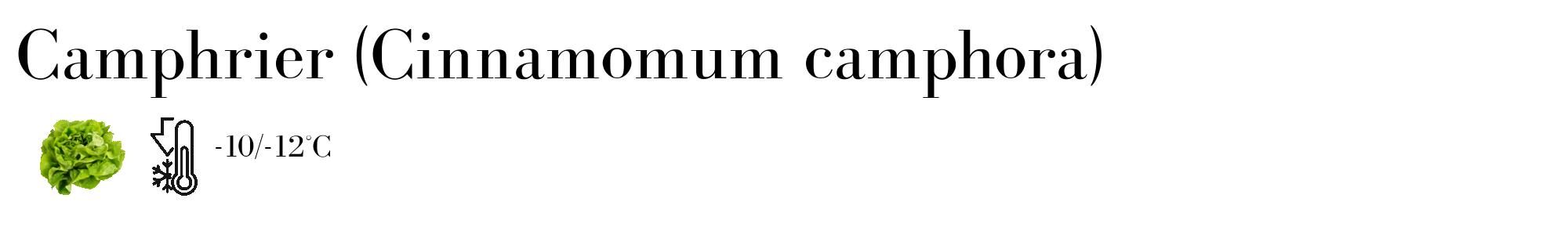 Étiquette de : Cinnamomum camphora - format c - style noire60_basique_basiquebod avec comestibilité simplifiée