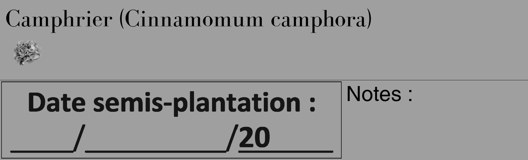 Étiquette de : Cinnamomum camphora - format c - style noire24_basique_basiquebod avec comestibilité simplifiée