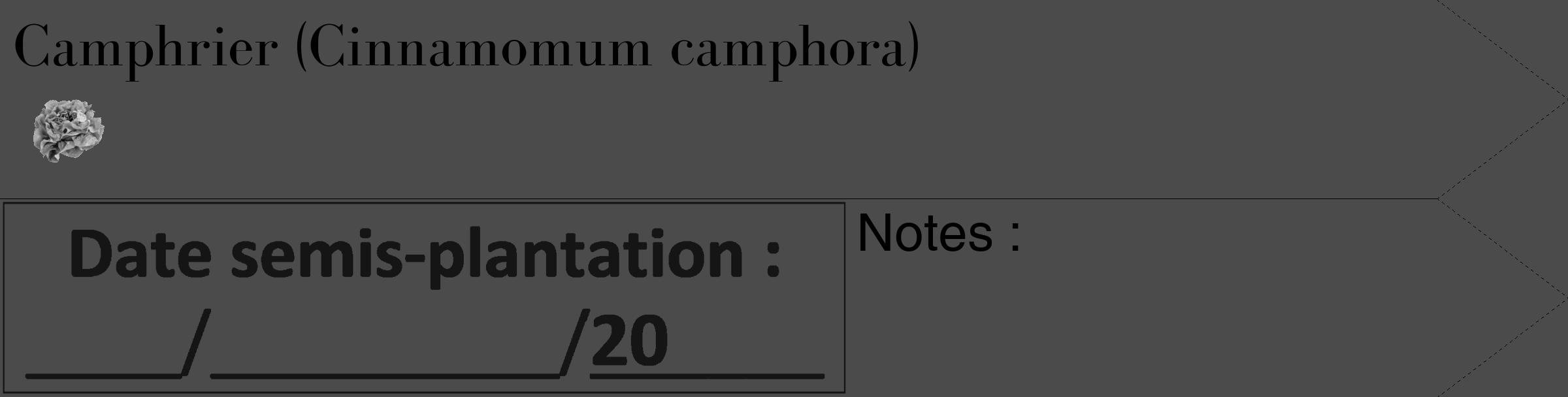 Étiquette de : Cinnamomum camphora - format c - style noire9_simple_simplebod avec comestibilité simplifiée