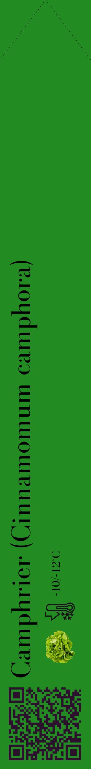 Étiquette de : Cinnamomum camphora - format c - style noire10_simple_simplebod avec qrcode et comestibilité simplifiée - position verticale