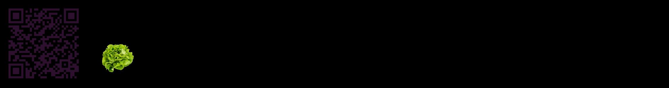 Étiquette de : Cichorium endivia - format c - style noire59_basique_basiquebod avec qrcode et comestibilité simplifiée
