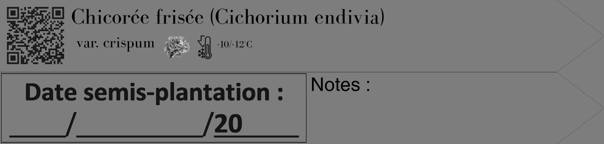 Étiquette de : Cichorium endivia var. crispum - format c - style noire35_simple_simplebod avec qrcode et comestibilité simplifiée