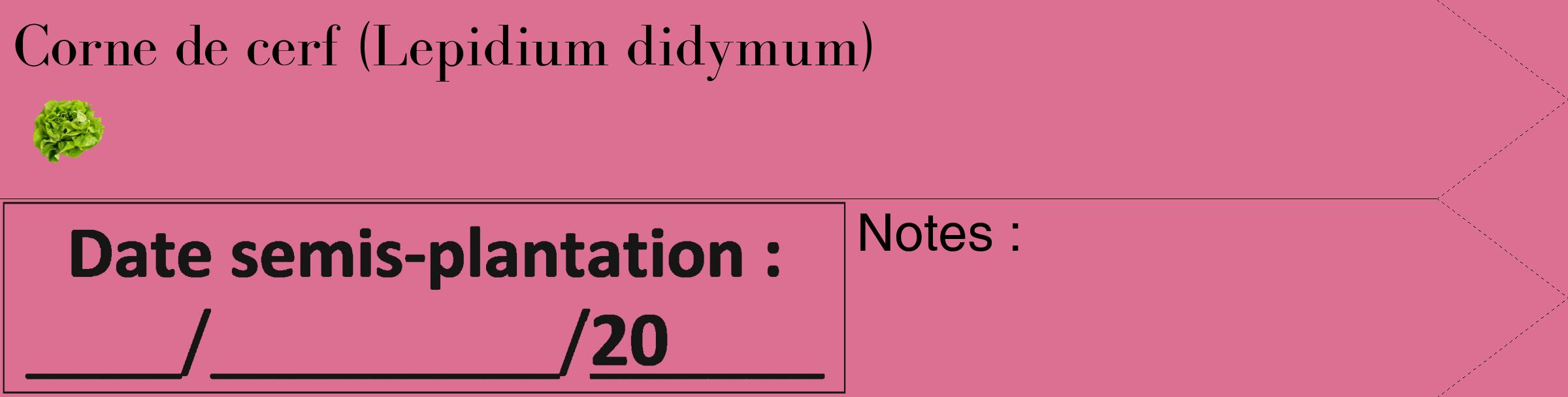 Étiquette de : Lepidium didymum - format c - style noire44_simple_simplebod avec comestibilité simplifiée