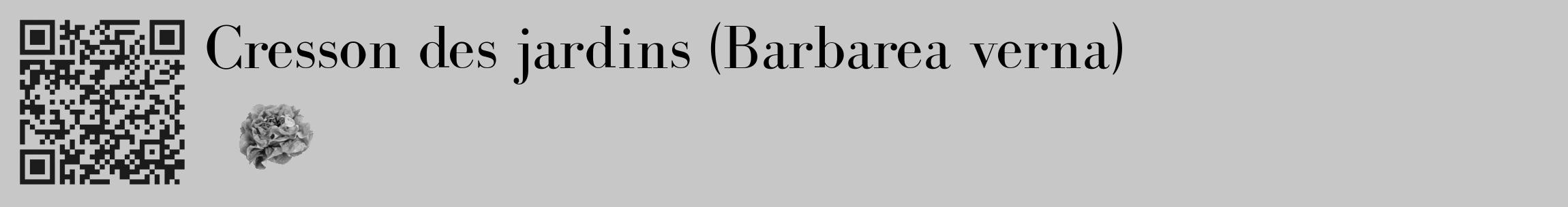 Étiquette de : Barbarea verna - format c - style noire15_basique_basiquebod avec qrcode et comestibilité simplifiée