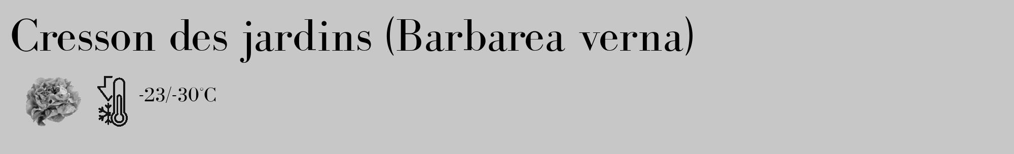 Étiquette de : Barbarea verna - format c - style noire15_basique_basiquebod avec comestibilité simplifiée