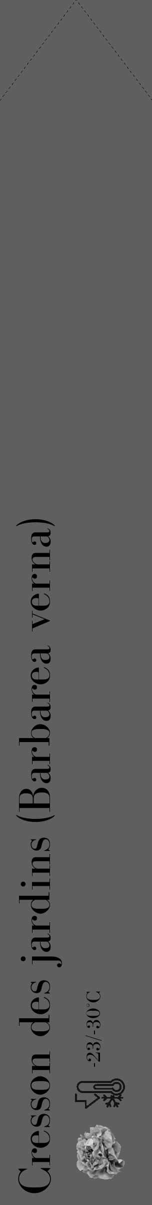 Étiquette de : Barbarea verna - format c - style noire10_simple_simplebod avec comestibilité simplifiée - position verticale
