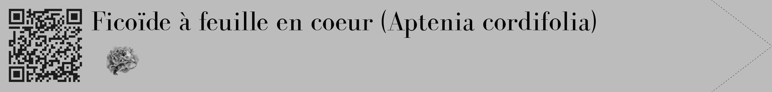 Étiquette de : Aptenia cordifolia - format c - style noire1_simple_simplebod avec qrcode et comestibilité simplifiée
